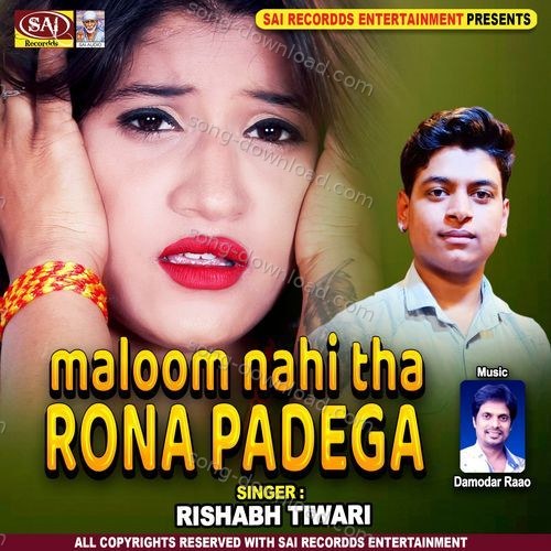 Teri Bin Jee Rahe Hai Damodar Raao MP3 Download